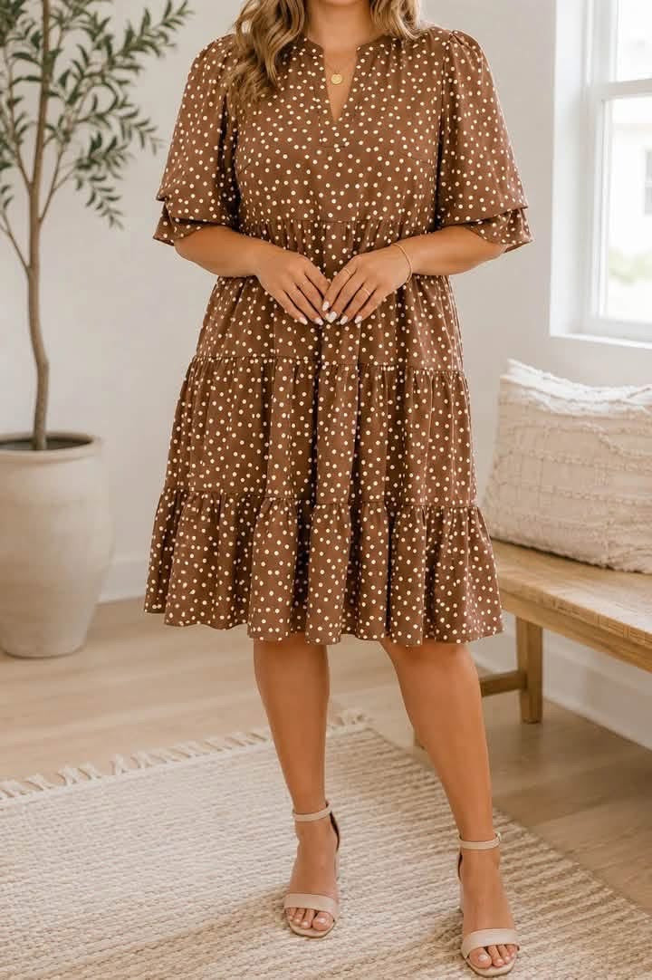 Brown Polka Dot Plus Dress